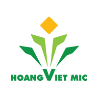 Công ty cổ phần quản lý tư vấn đầu tư nhân lực Hoàng Việt